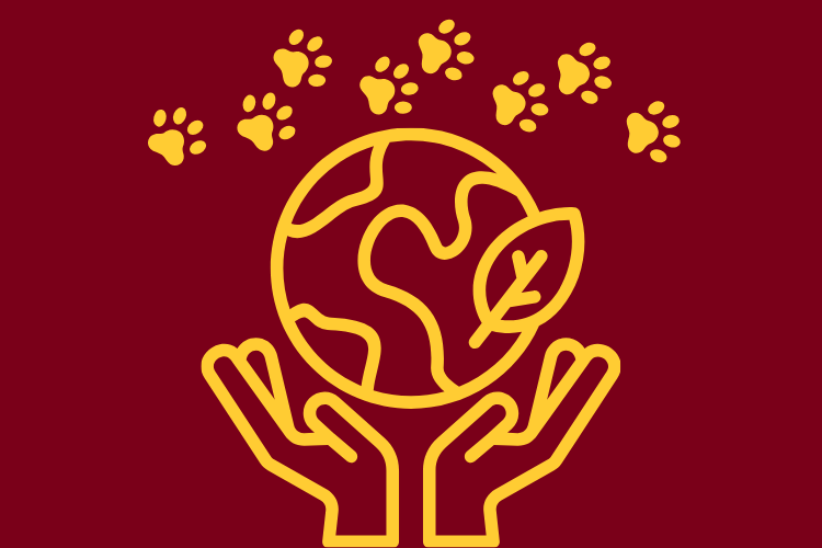 Hands holding up the Earth with animal footprints above the Earth. 